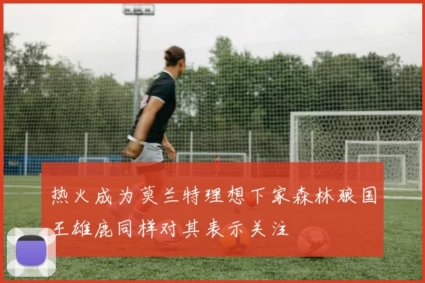 热火成为莫兰特理想下家森林狼国王雄鹿同样对其表示关注